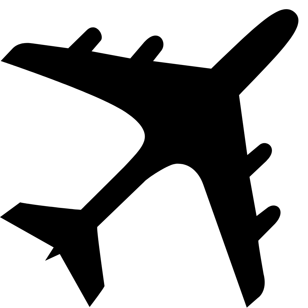 the black airplane icon indicates this product is good for traveling, including on aircraft.